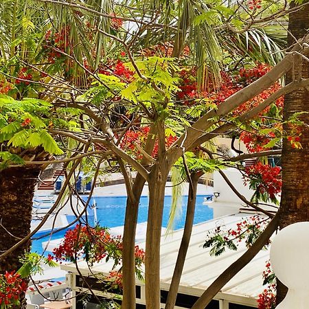 Castle Harbour Melanie'S Apartment By Lovetenerife Лос-Крістіанос Екстер'єр фото